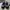 Sepatu Toddler  photo 3