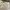 Ralph Lauren Sport White Embroidered Shorts - Size 2 photo 5