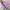 Jacket winter anak new balance galaxy pink revesible rare photo 2