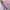 Jacket Winter Anak New Balance Galaxy Pink Revesible Rare