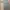 Tunik Warna Sage photo 1