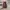 Vans Authentic Anaheim photo 5