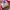 Vans Authentic Anaheim photo 6