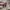 Vans Authentic Anaheim photo 1
