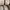 Converse 70s Low White photo 7