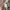 MARITHE FRANCOIS GIRBAUD CREAM NUDE CARDIGAN WOOL photo 5