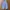 Spick & Span Widepants warna Biru muda photo 7
