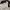 Zara kutung nwt  photo 1
