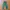 Double focus relaxpants chinos photo 1
