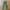Double Focus Relaxpants Chinos