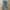 Double focus relaxpants chinos photo 5