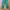 Double focus relaxpants chinos photo 2