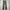 REAL STANDARD LONG PANTS CORDURAY photo 1