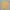 Arnold Palmer Casual Polo shirt Pria yellow photo 4