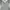 Grey Bordir Tank Top