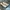 Flat shoes Urban&co 37 photo 2