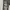 Double Focus Japan photo 7