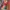 Vintage Patchwork Embroidered Blanked  photo 2