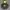 Hoodie feltics big logo  photo 1
