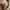 Maison Mihara Yasuhiro MMY Hank Size 41 photo 6