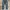 Edwin 403 Blue Jeans photo 2