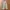 Korean basic cargowide pants photo 1