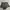 Shorts Jeans Grey