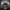 Vintage Harley Davidson Loongsleve copyright 2006 photo 8