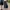 Casual Grey Culotte / Kulot / Celana photo 5