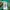 Hoodie Carhartt Spellout Green  photo 4