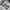 LEE Script Printed Heavyweight Gray Pullover Hooded photo 3