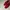Santoni red suede loafers photo 2