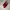 Santoni red suede loafers photo 1