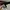 Jessica 35 lizard leather photo 7