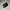 Vivaia square toe vcut photo 1