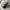 RARE Vans Knu Skool Black White photo 6