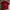 Jersey MU by umbro photo 3