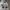 Vtg Revesaible Jacke photo 1