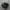 nike TN photo 1