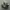 adidas SL 72 photo 1