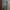 logo blue jeans photo 3