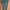 legging knit photo 1
