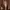 White Prom Dress Evening Dress Corset Dress photo 1