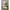 Boneka size medium photo 2