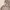 Fairy Indie Midi dress Wanita multicolor white tan pink brown photo 2