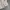 Gulk Club Harrington Jacket Casual Paracute photo 4