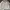 Gulk Club Harrington Jacket Casual Paracute