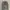 Hoodie discovery photo 1