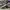 SB DUNK LOW TRAVIS SCOTT , SB DUNK TRAVIS SCOTT , SB DUNK , 