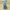 Von Dutch Vintage Y2K Handbag Wanita blue photo 4